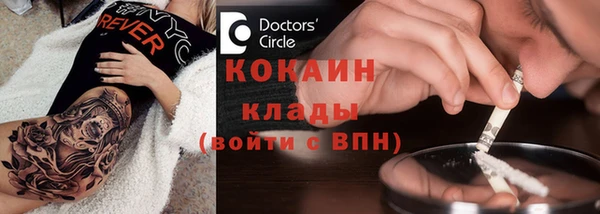 амф Богданович