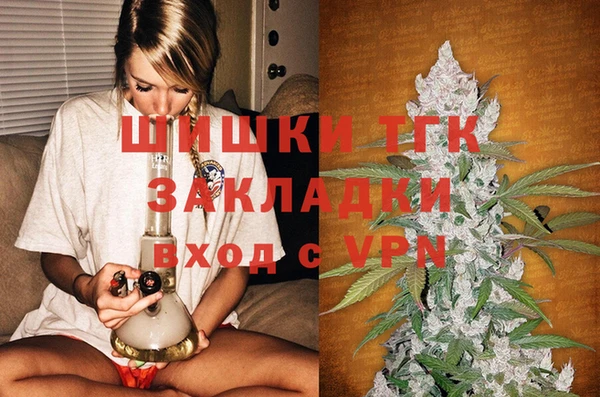 гашик Богородицк