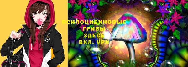 амф Богданович