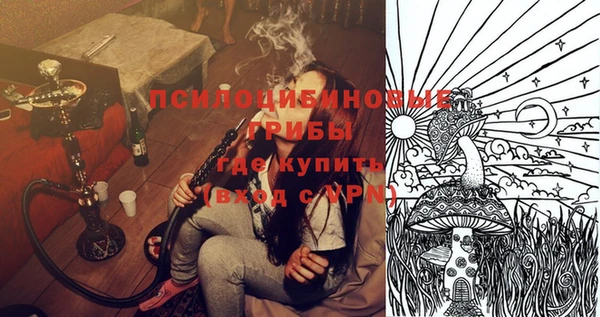 гашик Богородицк