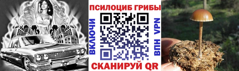 Псилоцибиновые грибы мухоморы  Вельск 